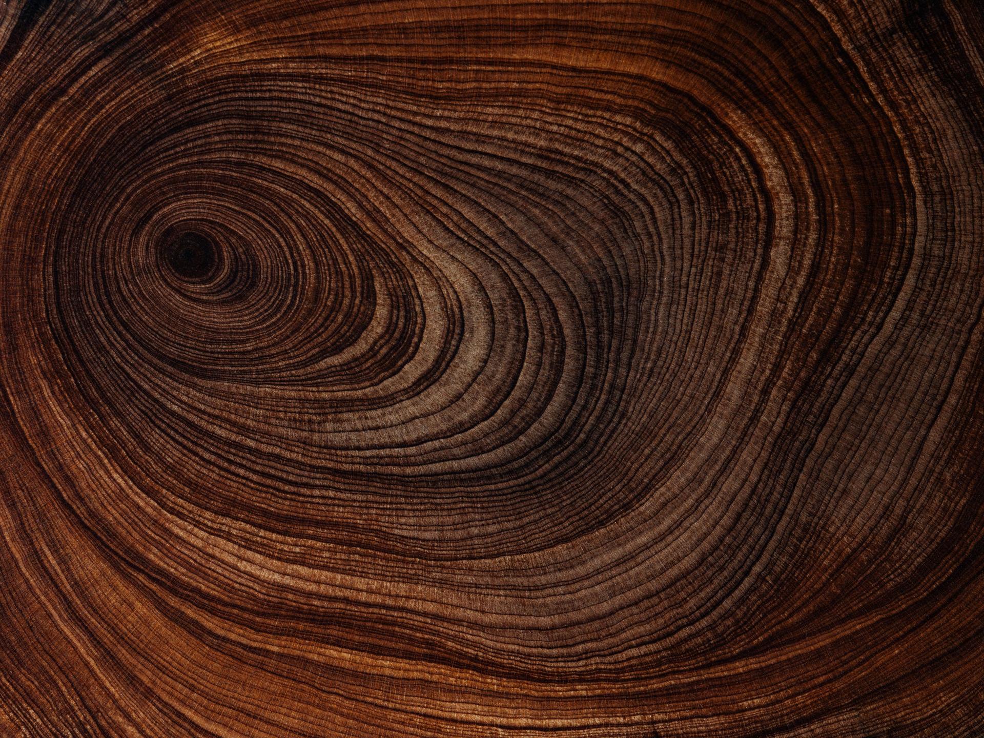 Natural wood rings